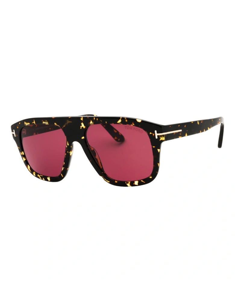 Dark Havana Framed Bordeaux Sunglasses