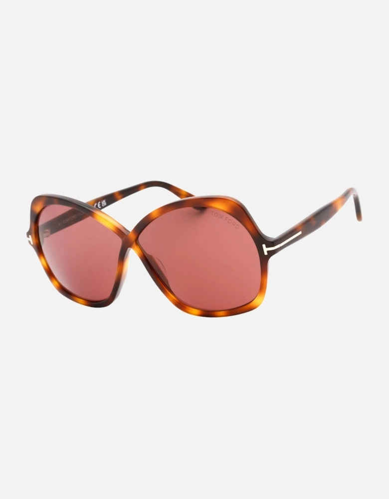Dark Havana Frame Violet Lens Sunglasses