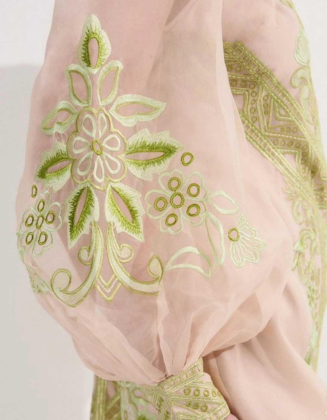 Embroidered Organdie Balloon Woven Mini Dress