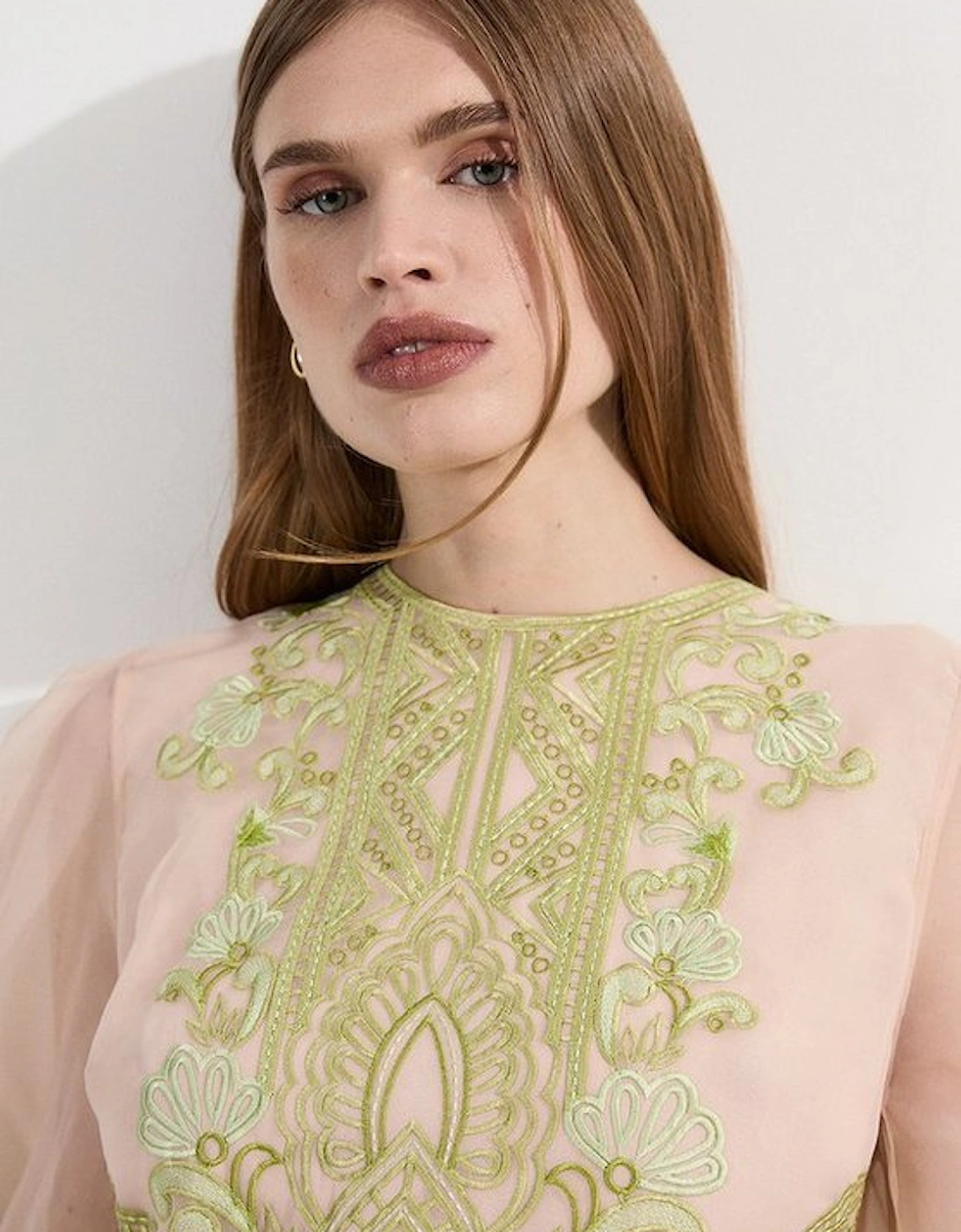 Embroidered Organdie Balloon Woven Mini Dress