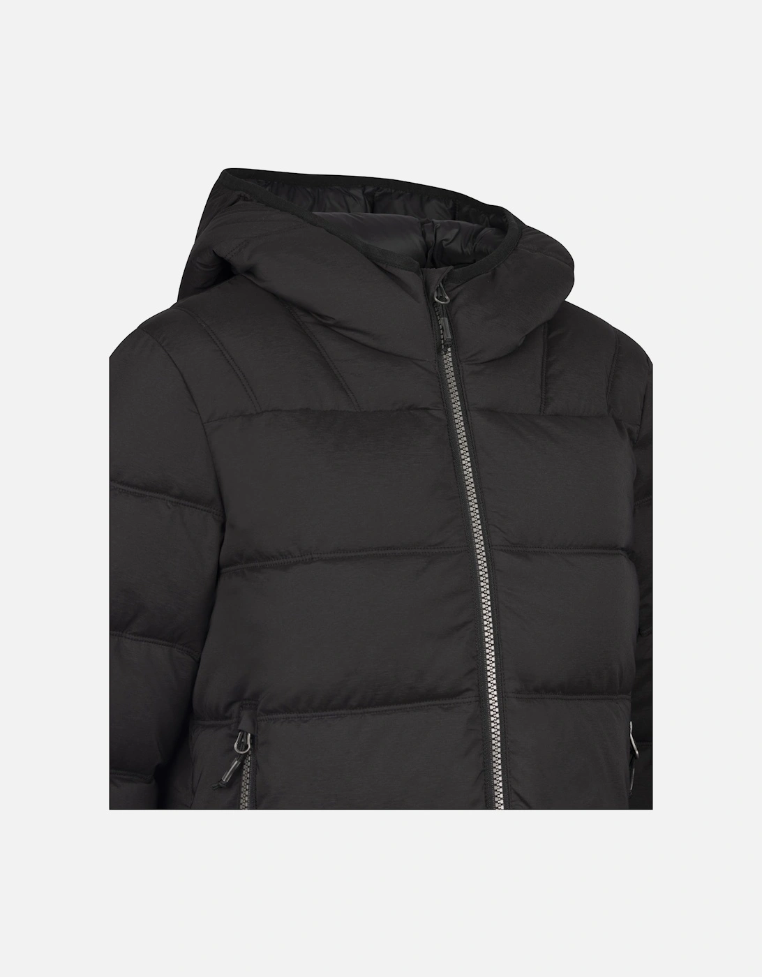 Womens/Ladies Rollins Hooded Jacket