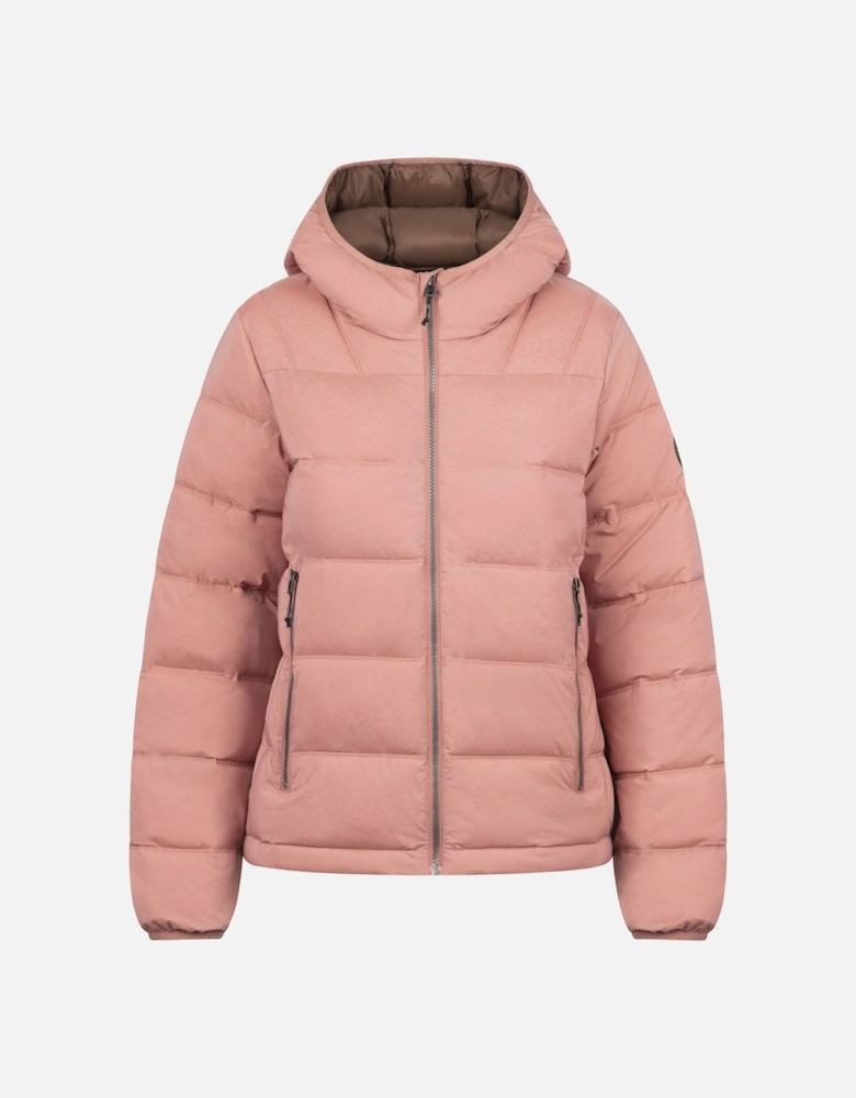 Womens/Ladies Rollins Hooded Jacket