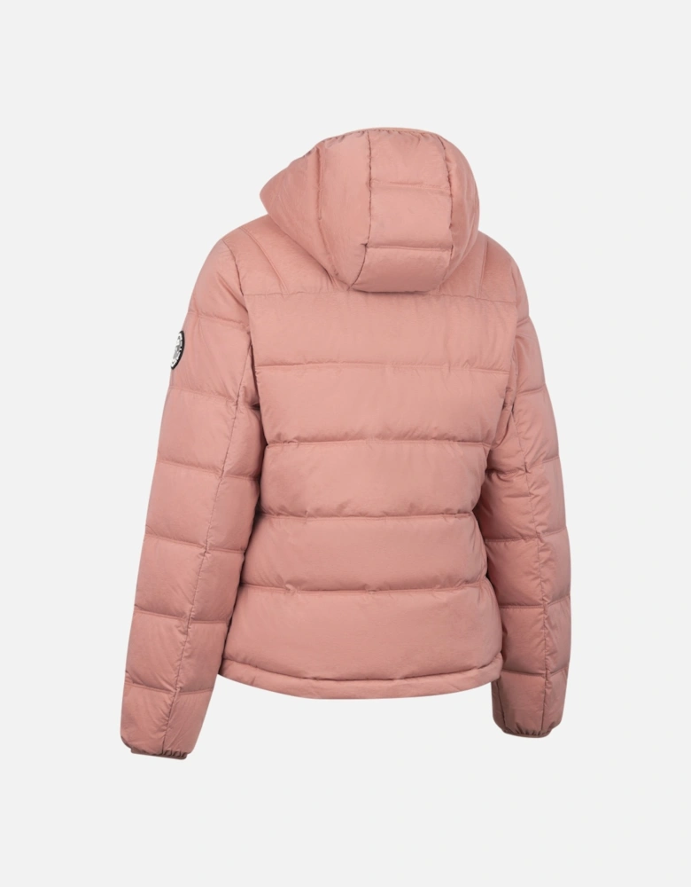Womens/Ladies Rollins Hooded Jacket