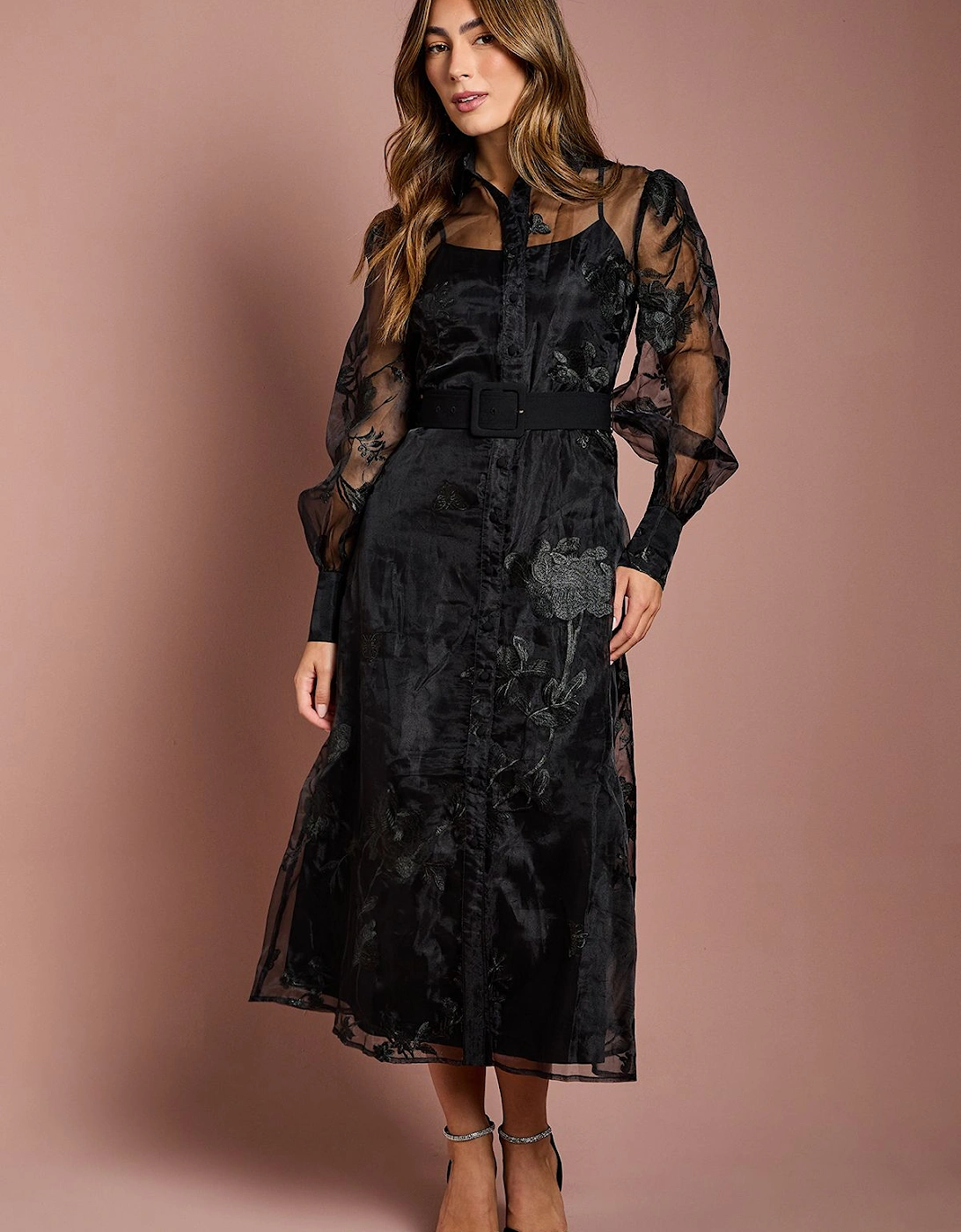 Long Sleeve Embellished Organza Shirt Dress, 2 of 1