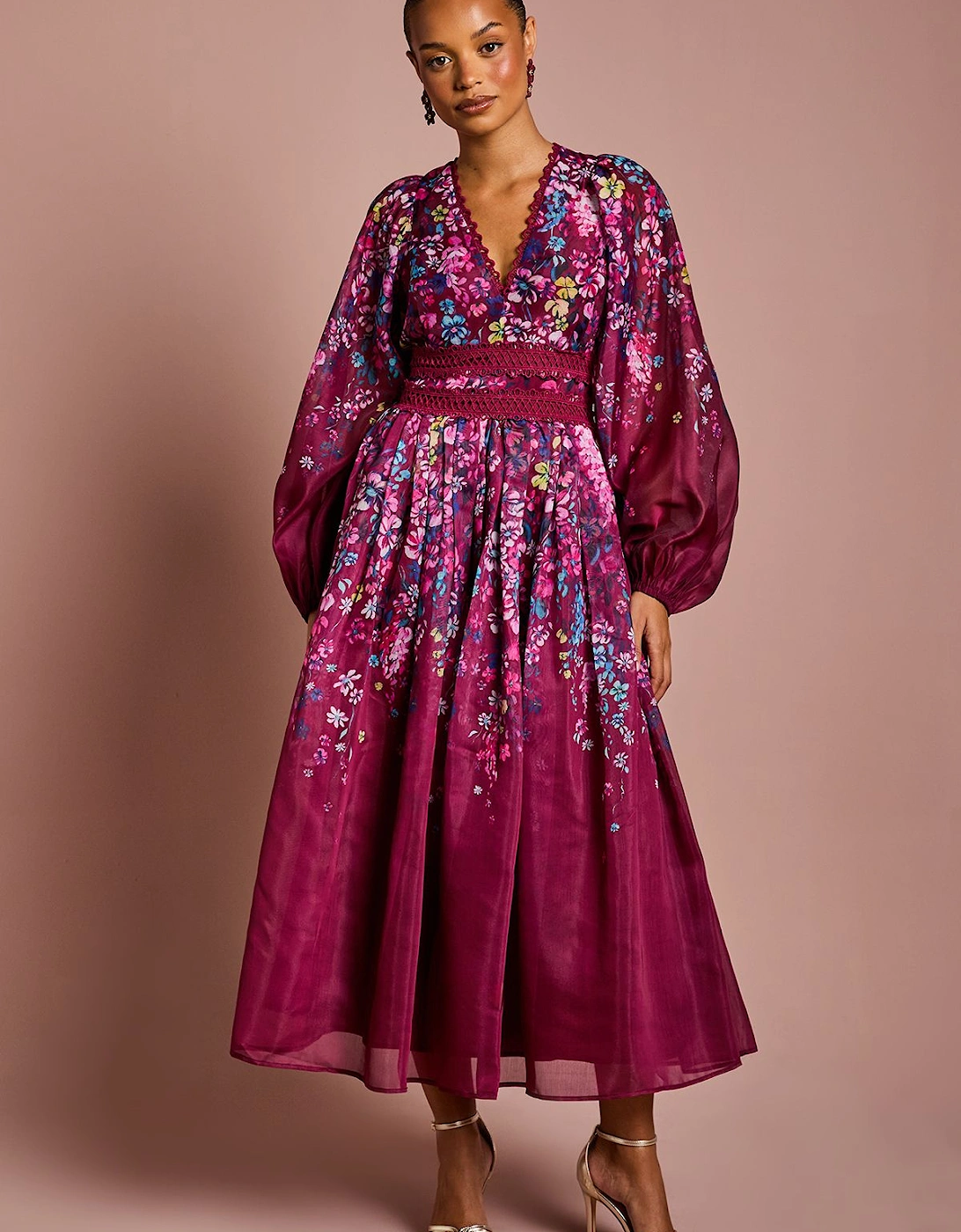 Petite Organza Floral Placement Lace Trim Midaxi Dress, 2 of 1