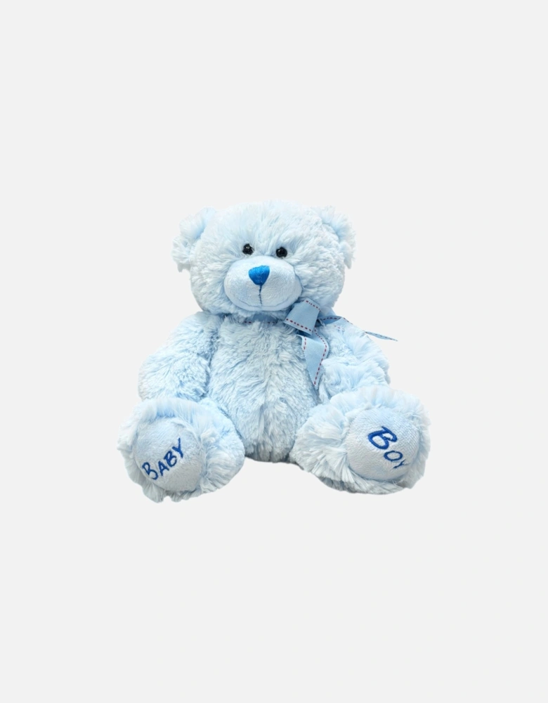 Boys Blue Soft Plush Teddy Bear