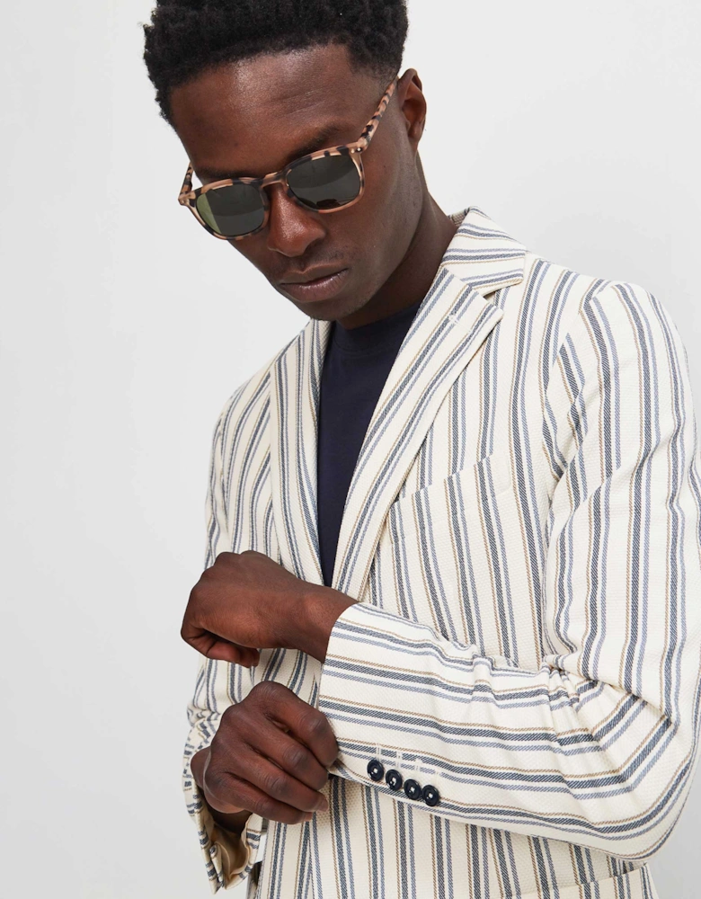 Slim Fit Striped Oxford Blazer