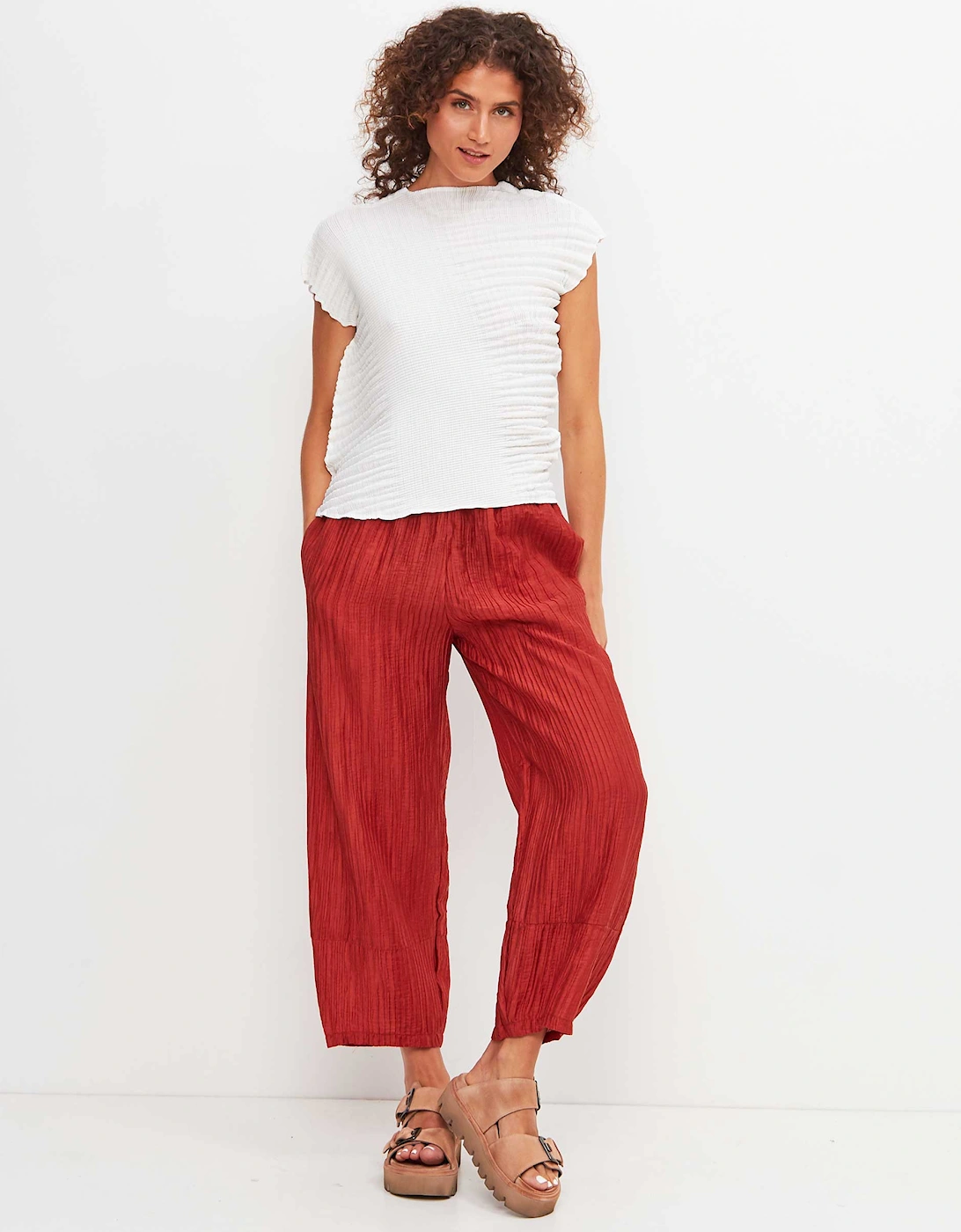 Pleated Cropped Trousers