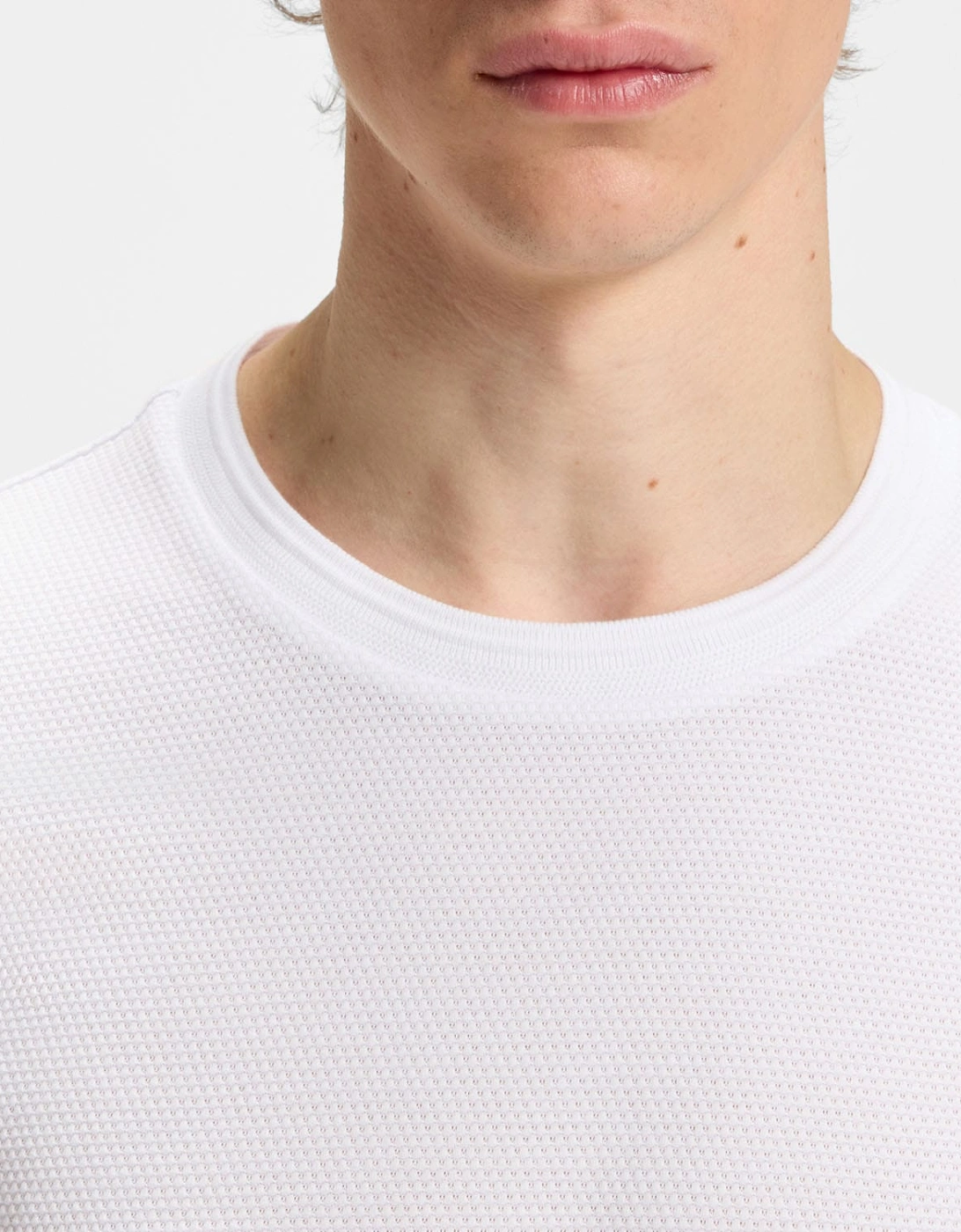 Tiburt 240 T-Shirt