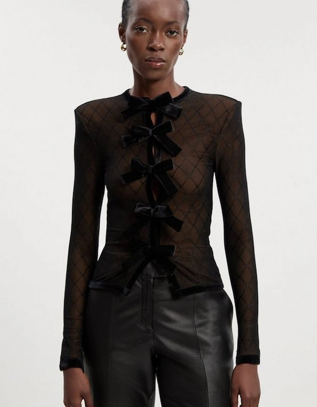 Mesh With Velvet Bow Trim Detail Crew Neck Long Sleeve Top, 2 of 1