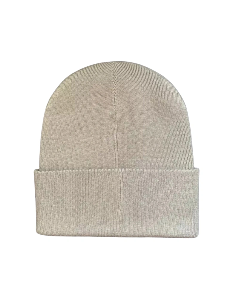 Classic Logo Lime Stone Grey Beanie