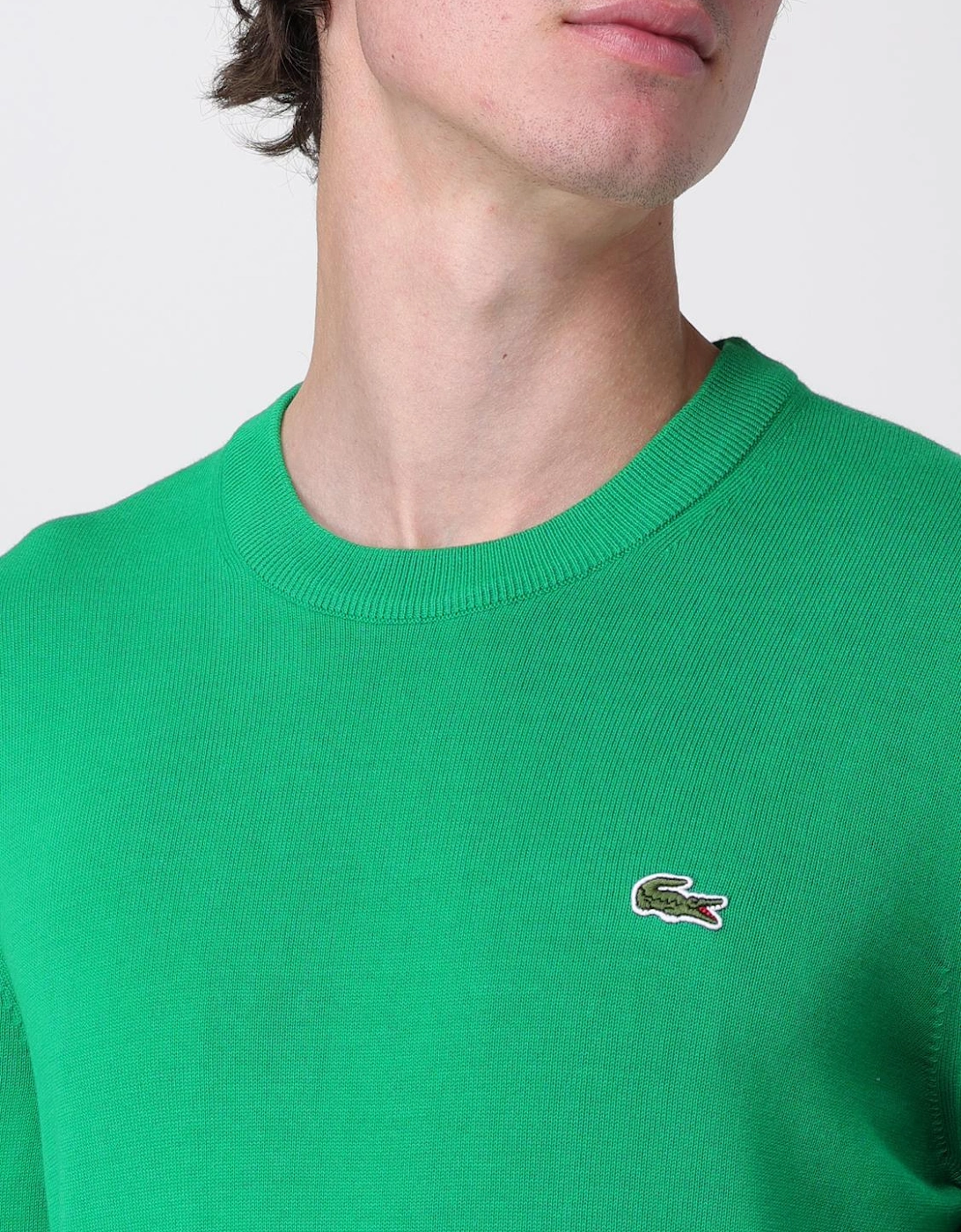 Cotton Crew Neck Sweater
