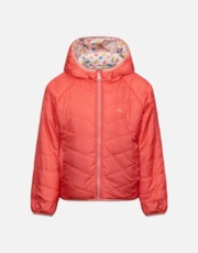 Soft Orange