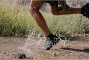 Thumbnail 6 of 7