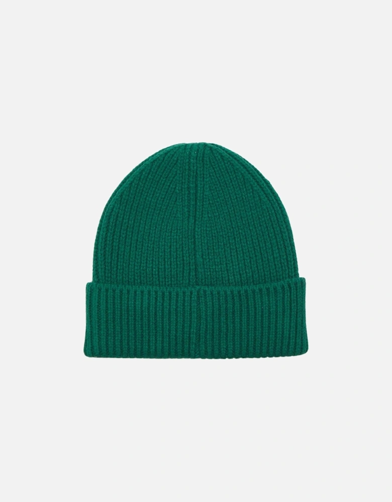 TNF Logo Box Cuffed Beanie - Evergreen