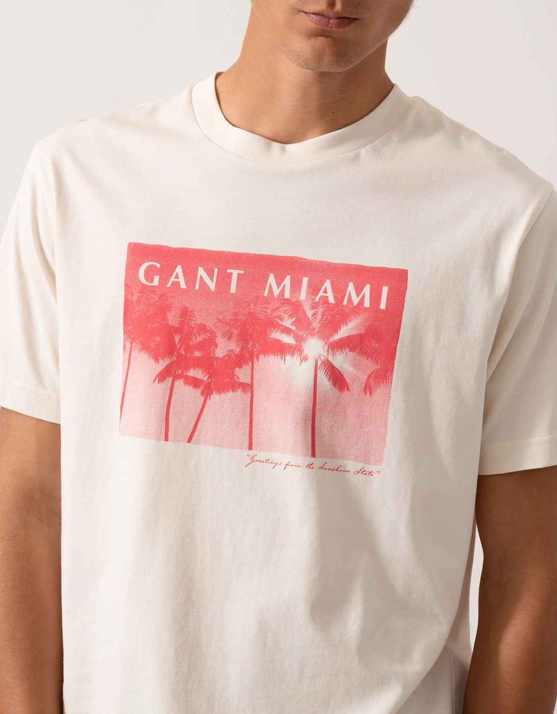 Mens Graphic T-Shirt - 130 Cream