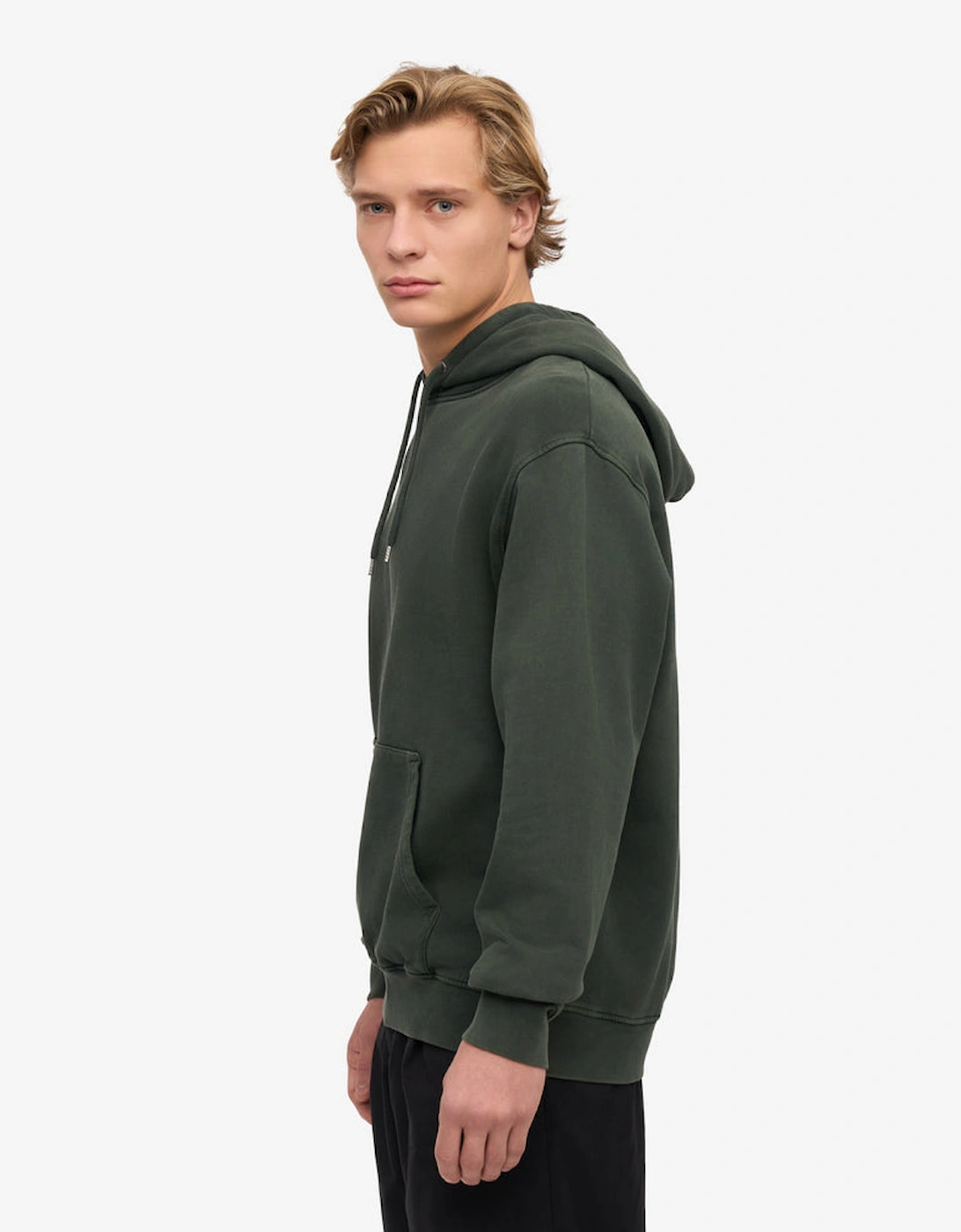 Classic Organic Hoodie - Midnight Forest