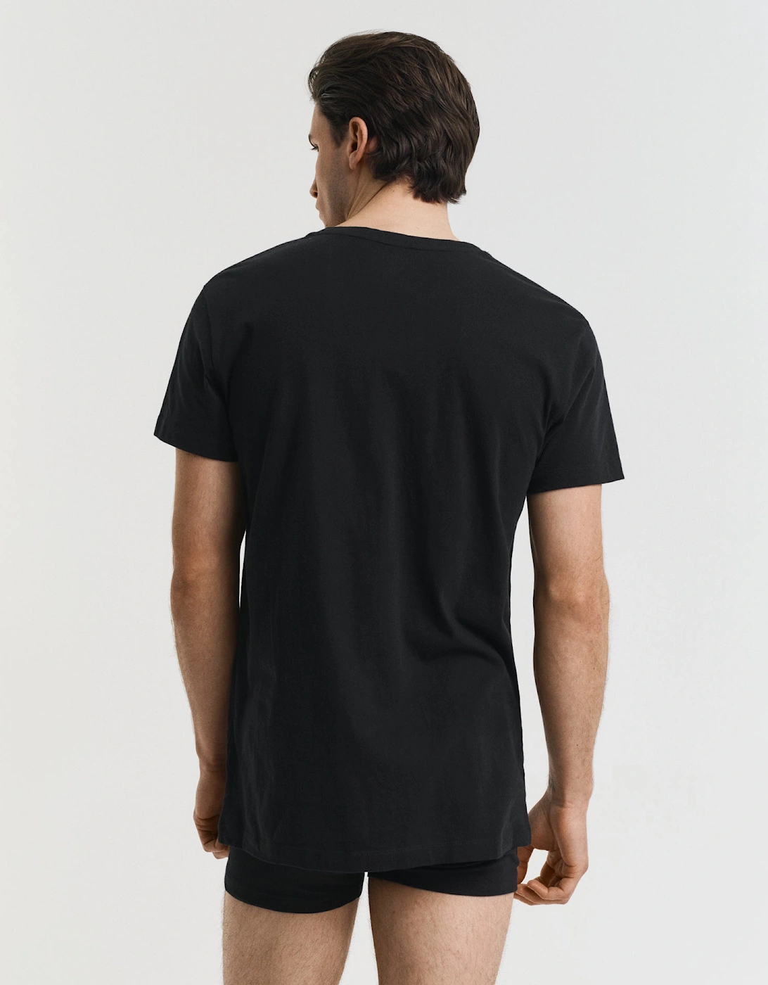 Mens V-Neck T-Shirt 2-Pack - 111 Black / White