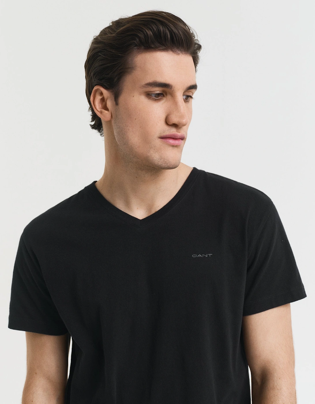 Mens V-Neck T-Shirt 2-Pack - 111 Black / White