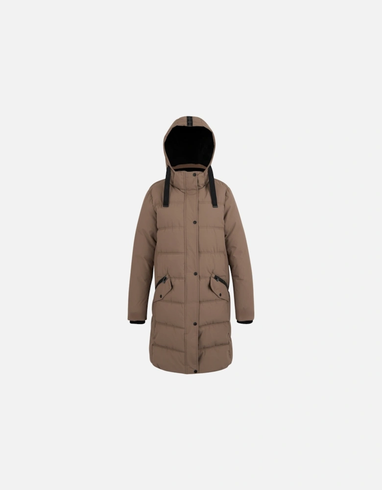 Womens/Ladies Eryn Padded Jacket