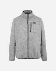 Silver Grey