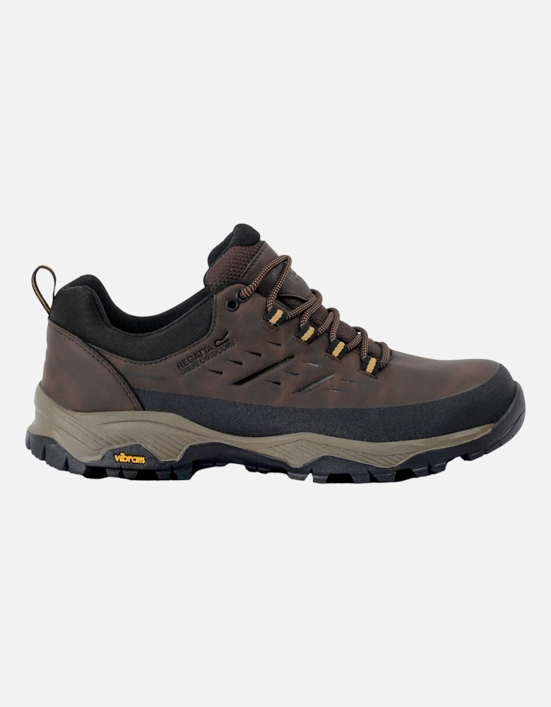 Mens Blake Low Walking Shoes