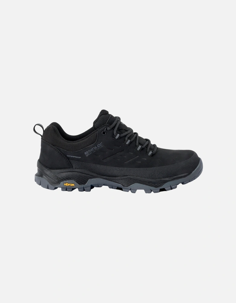 Mens Blake Low Walking Shoes