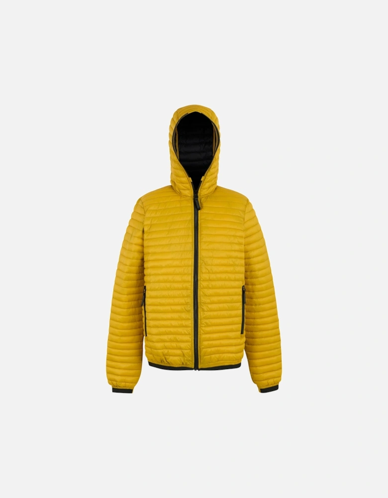 Mens Rigain Padded Jacket