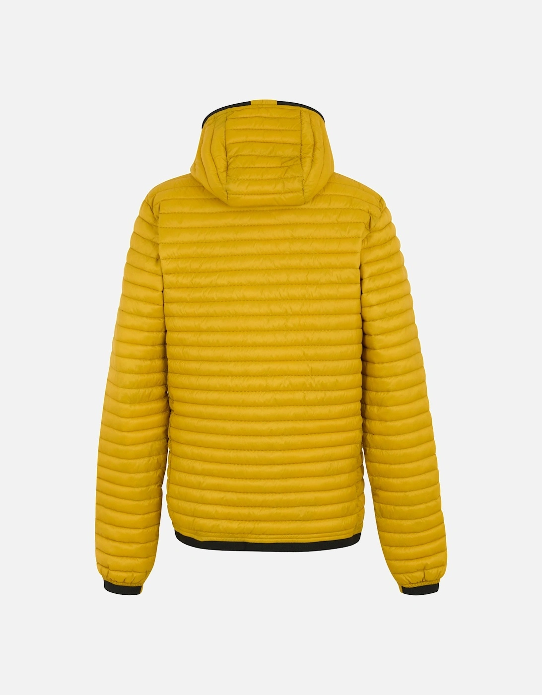 Mens Rigain Padded Jacket