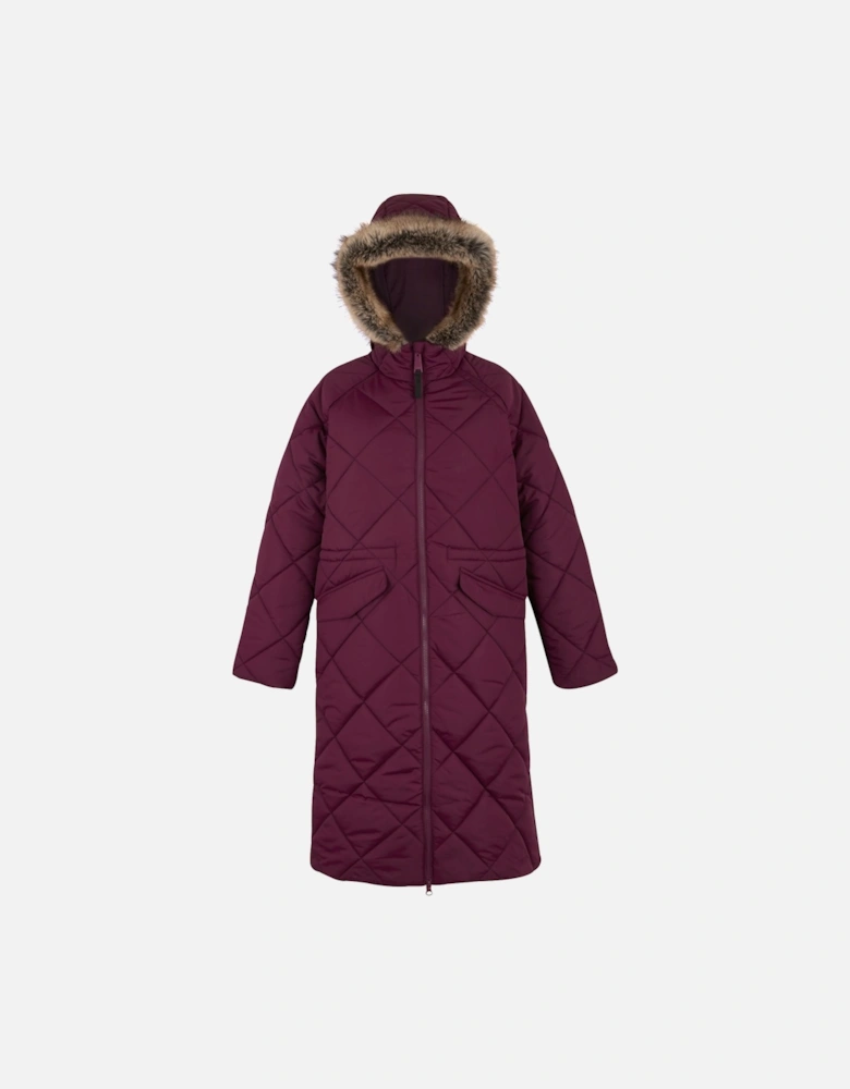 Womens/Ladies Freyla Padded Jacket