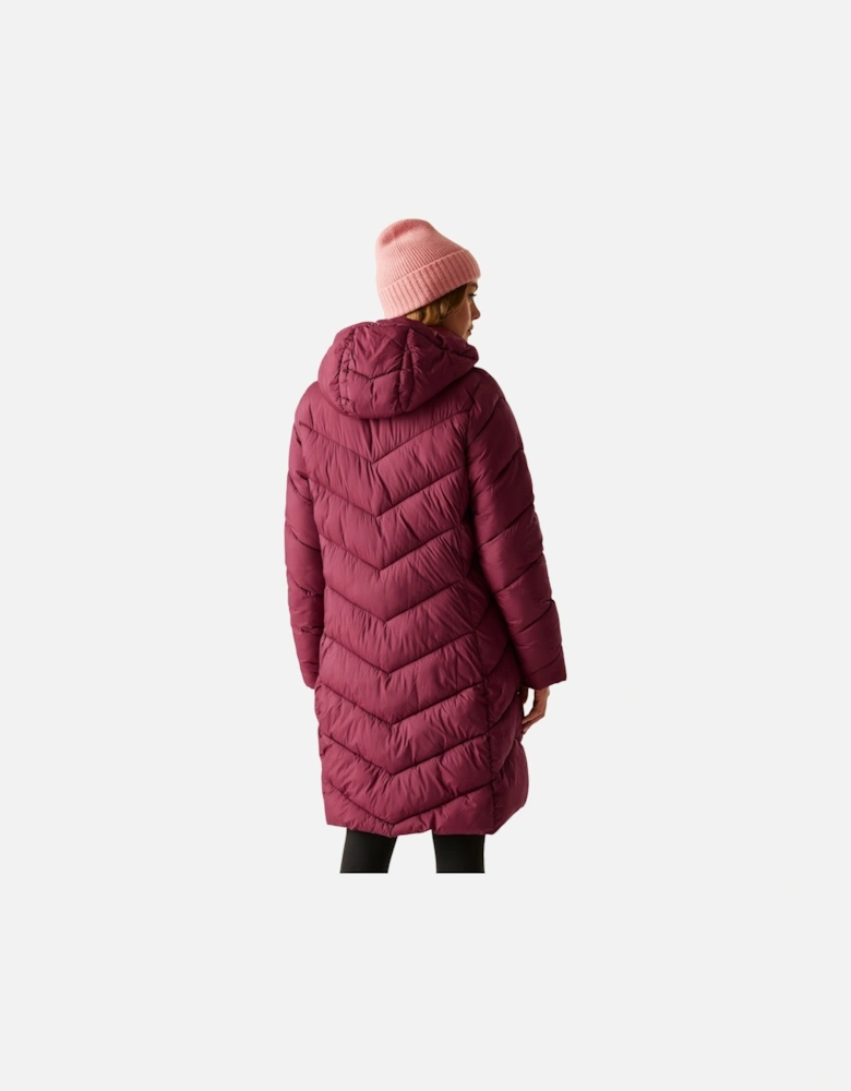 Womens/Ladies Anita Padded Jacket