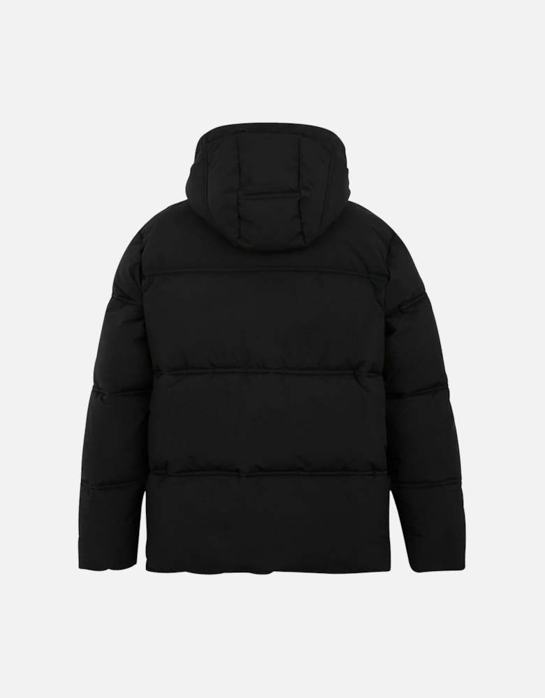Womens/Ladies Roxienne Padded Jacket