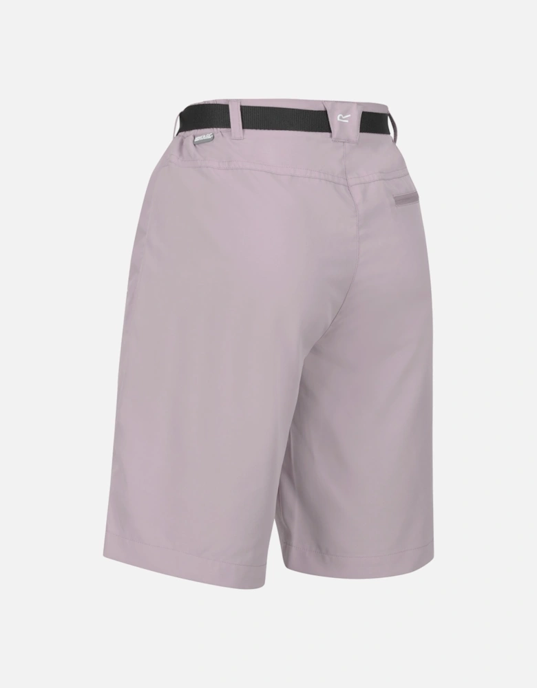 Womens/Ladies Xert Stretch Shorts