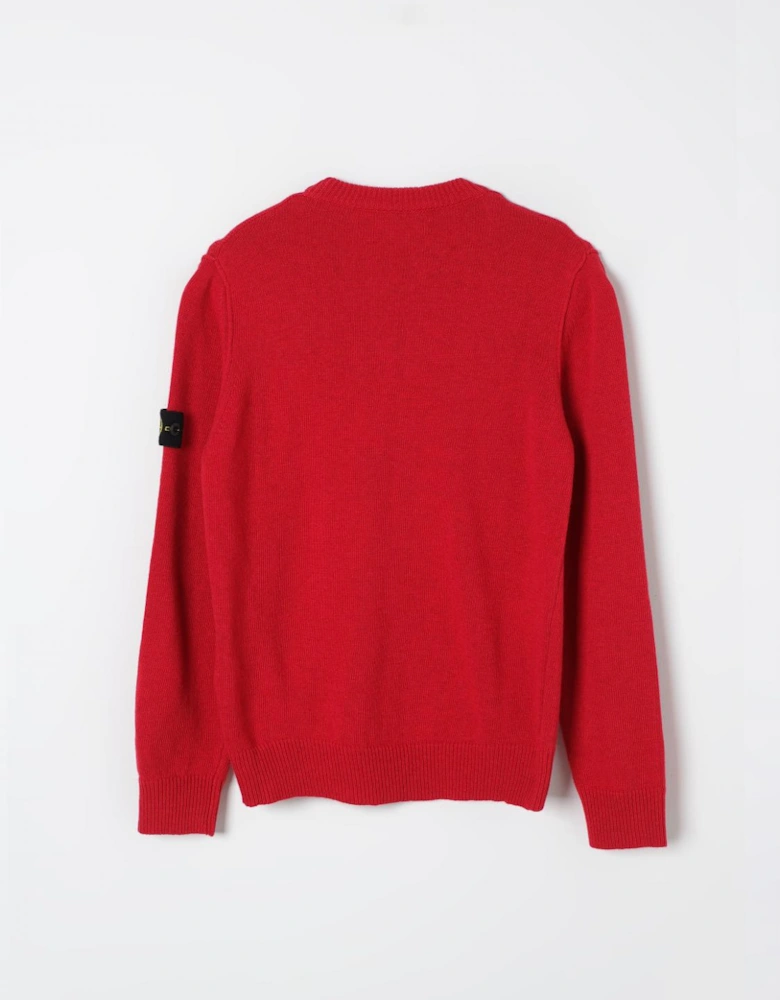 Kids Knit Crew Neck Sweater