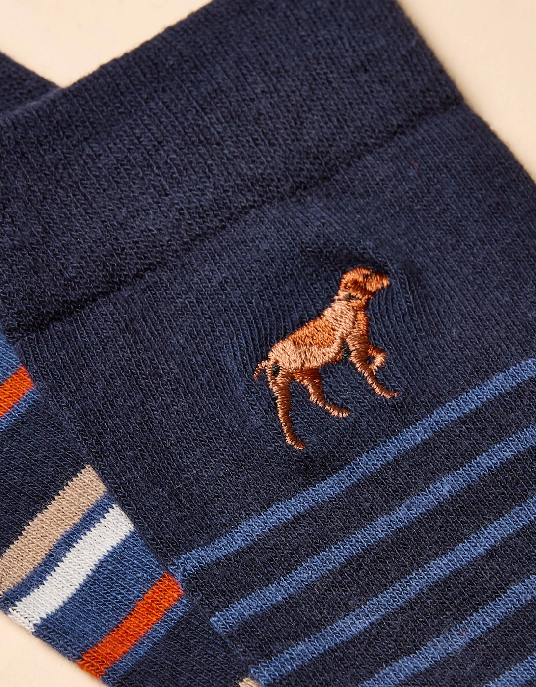 KINGSBURY Mens Socks Navy/Ginger