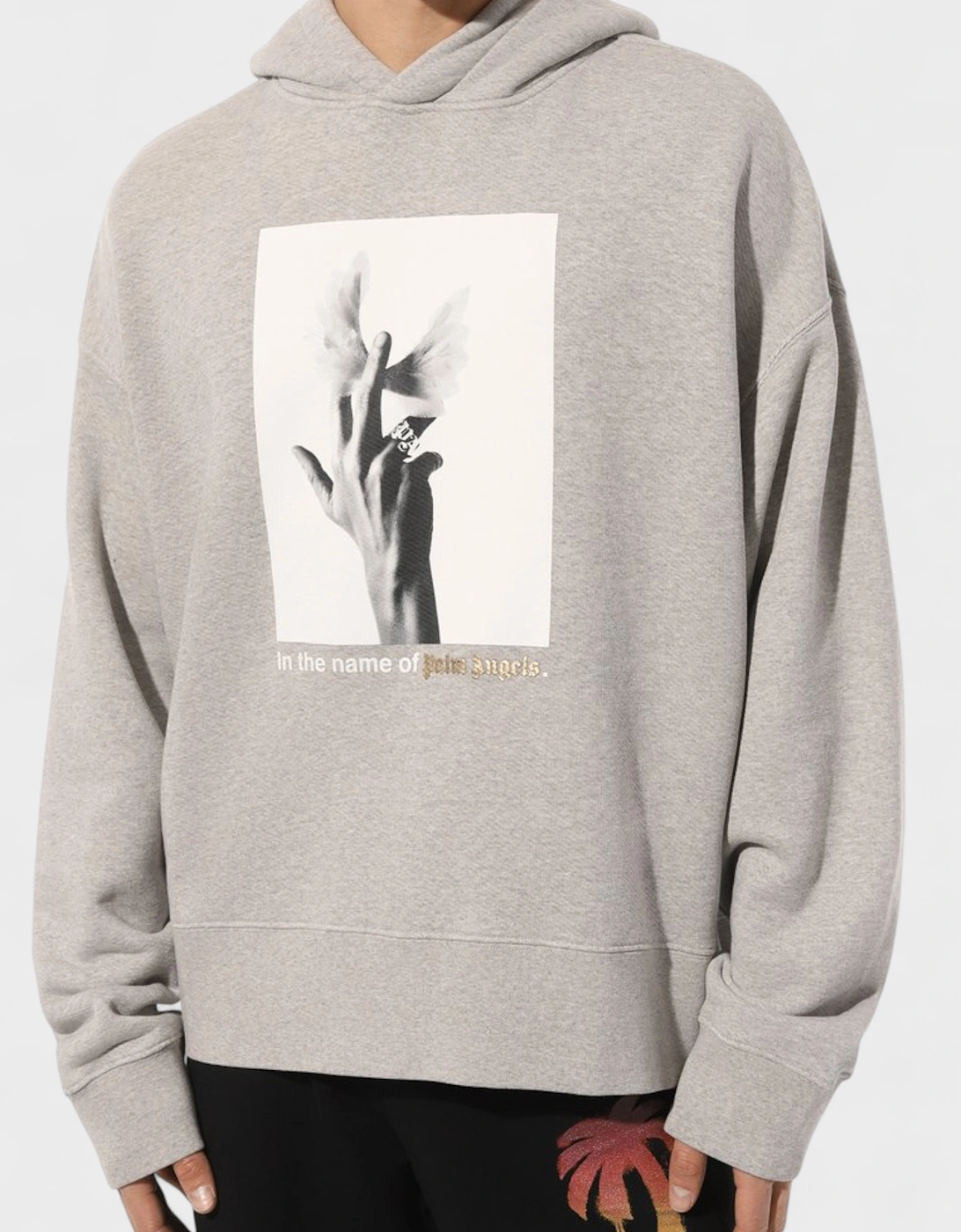 Wings Hoodie Melange Grey
