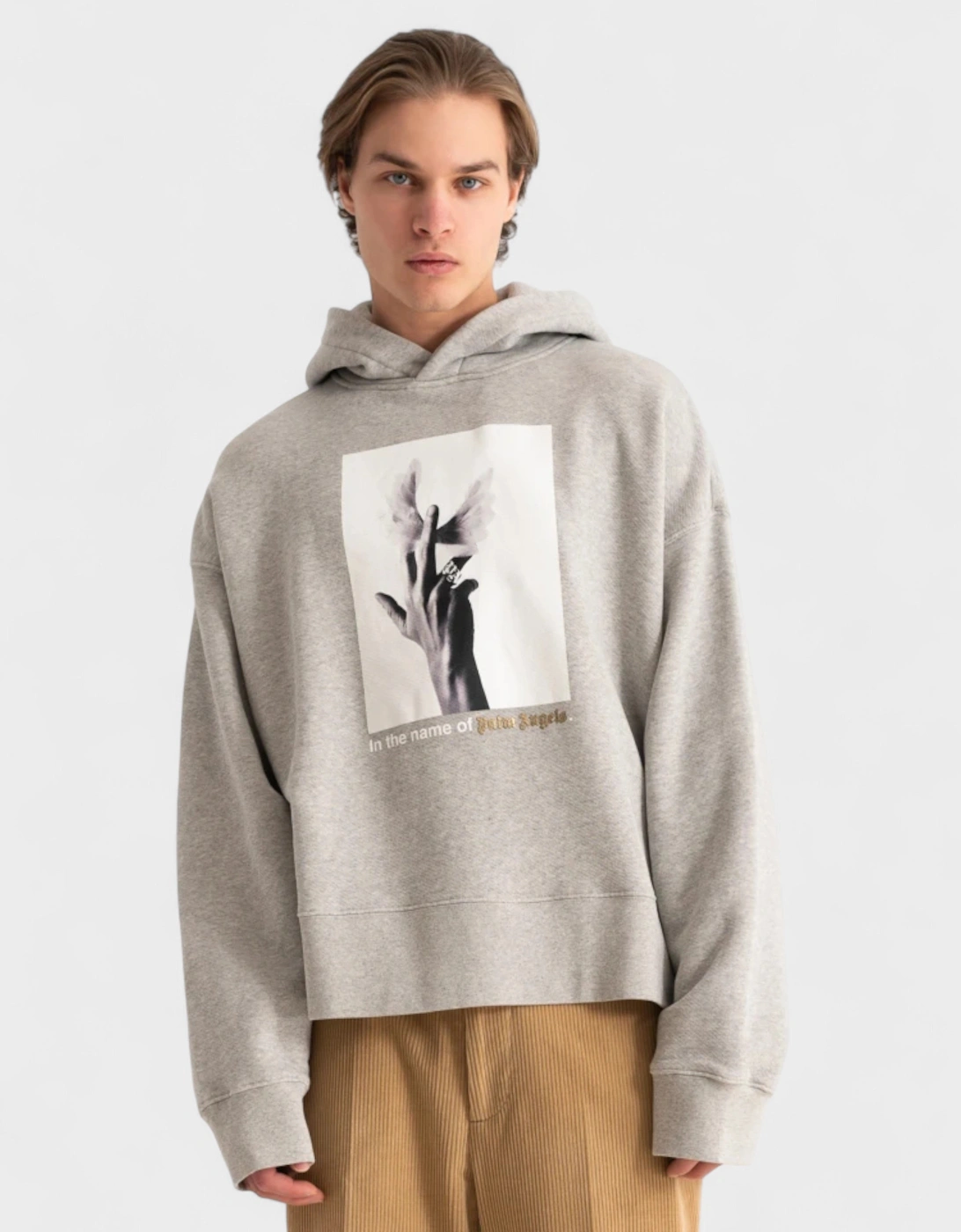Wings Hoodie Melange Grey