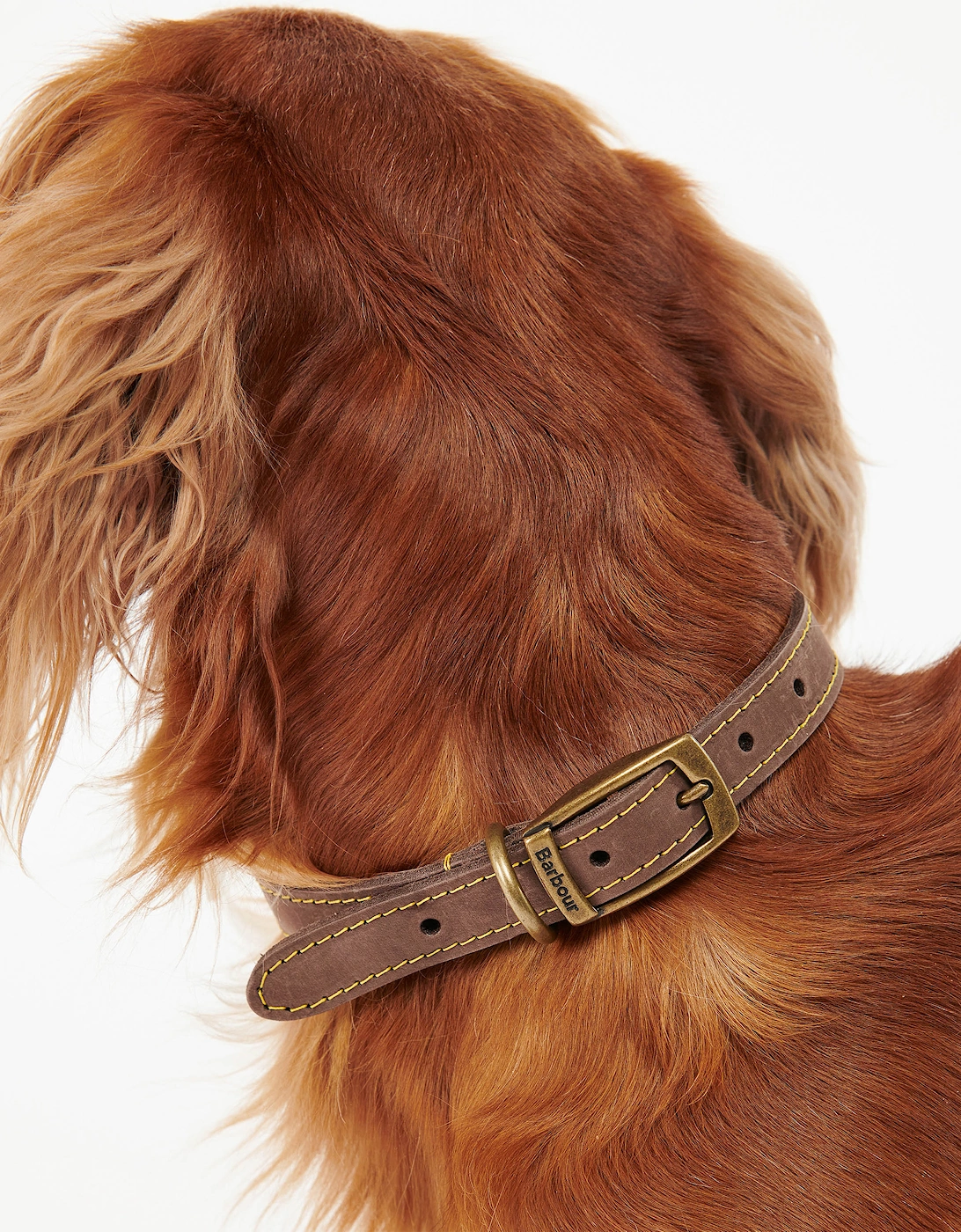 Leather Dog Collar - Brown
