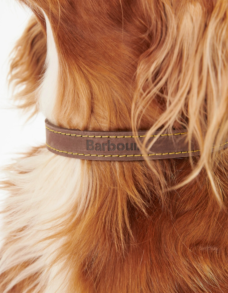 Leather Dog Collar - Brown