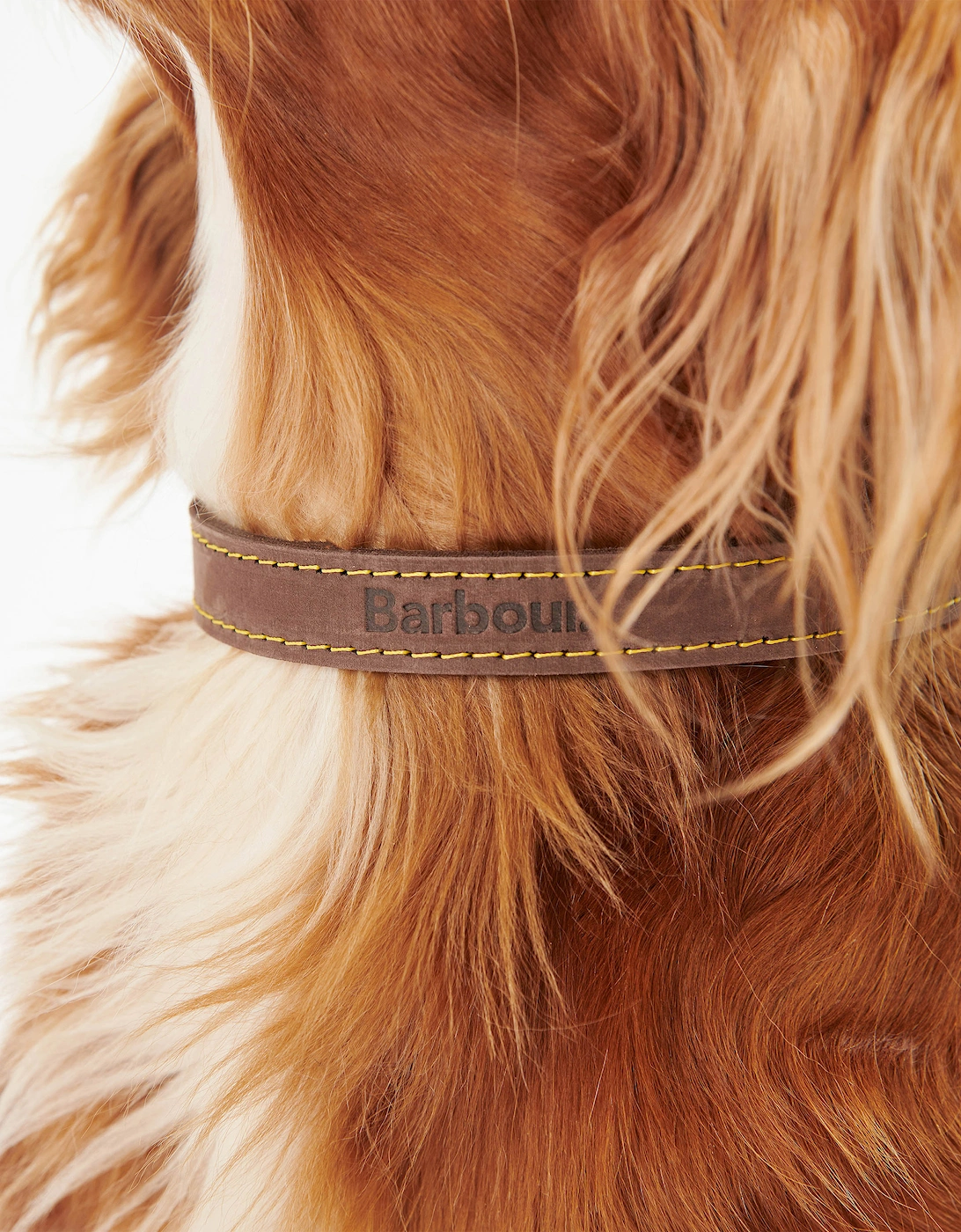 Leather Dog Collar - Brown