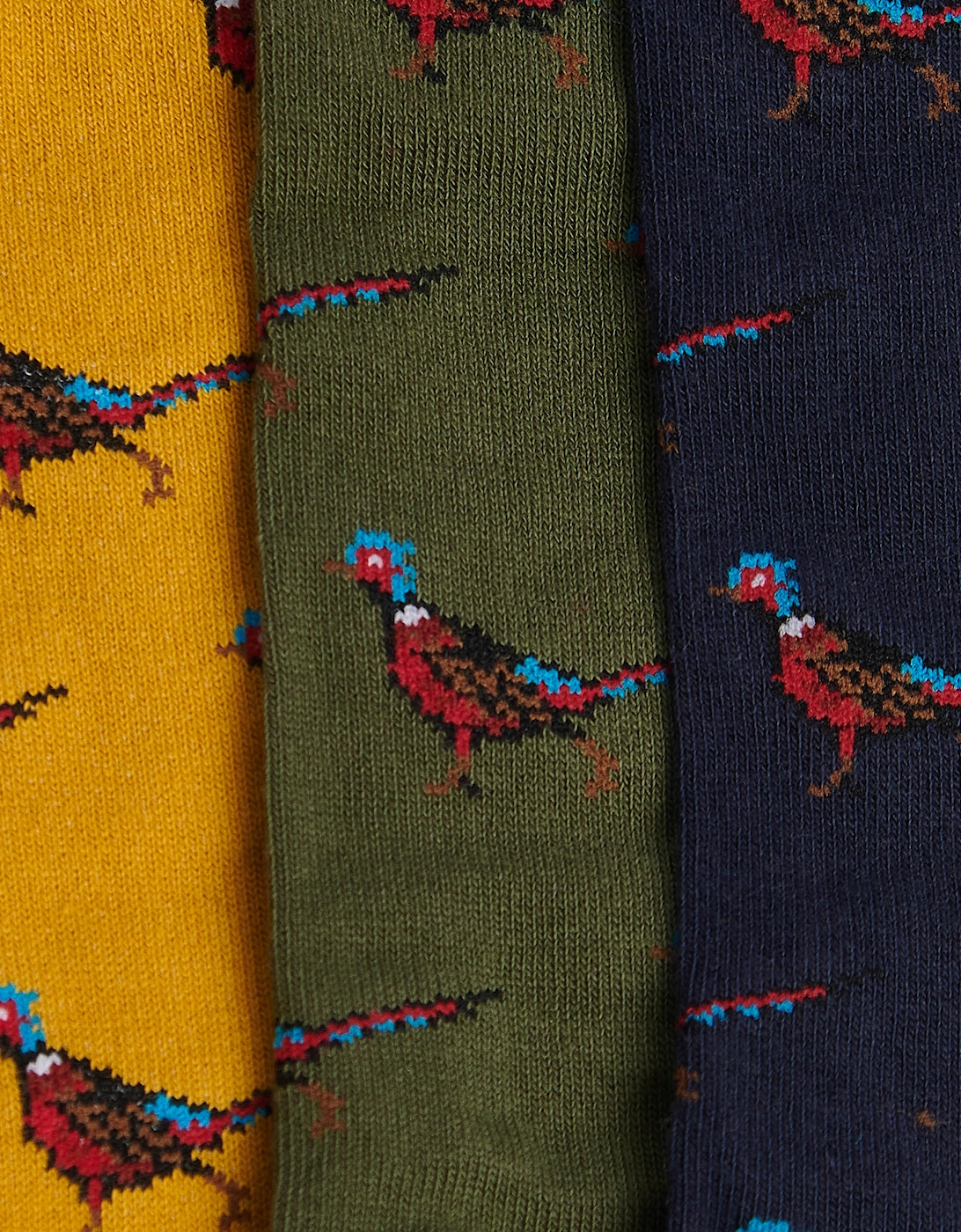 3-Pack Mens Pheasant Socks Gift Set - Forest Mist