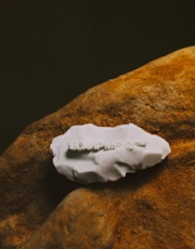 Thumbnail 2 of 5