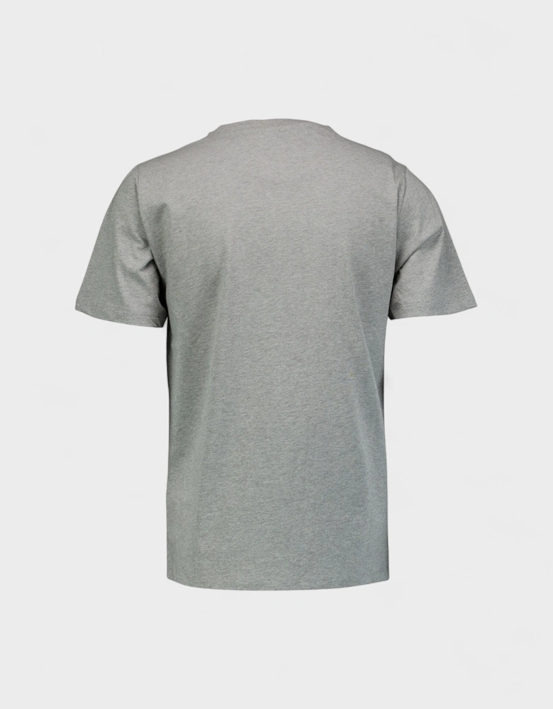 Tiger Graphic T Shirt Grey Blue