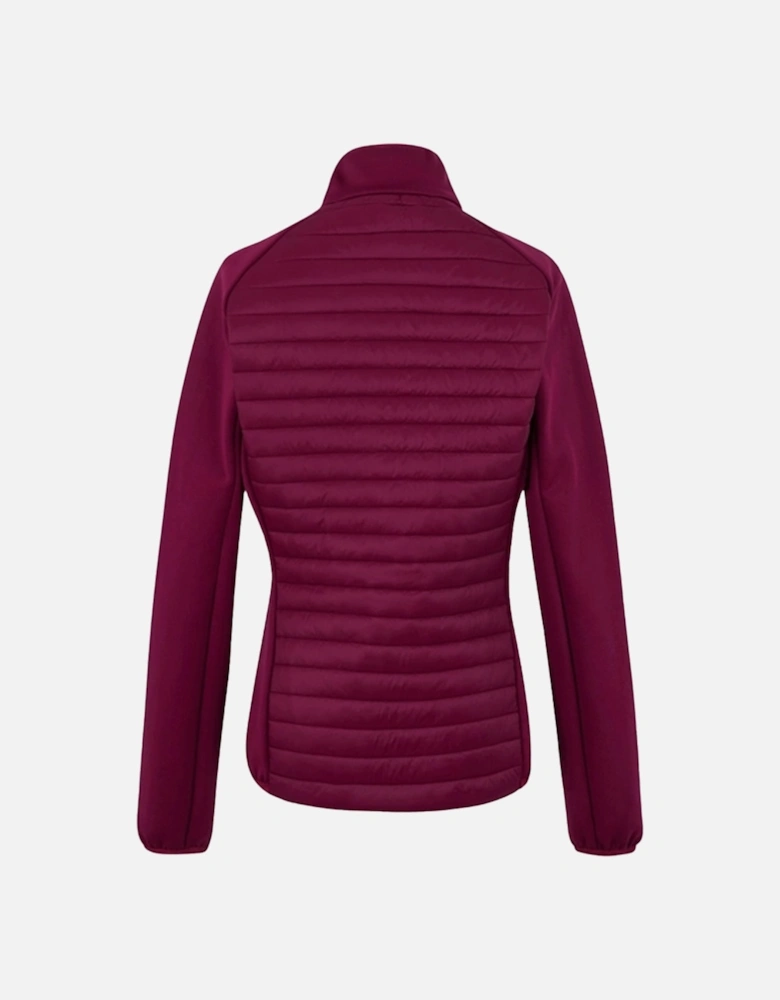Womens/Ladies Clumber Hybrid Jacket