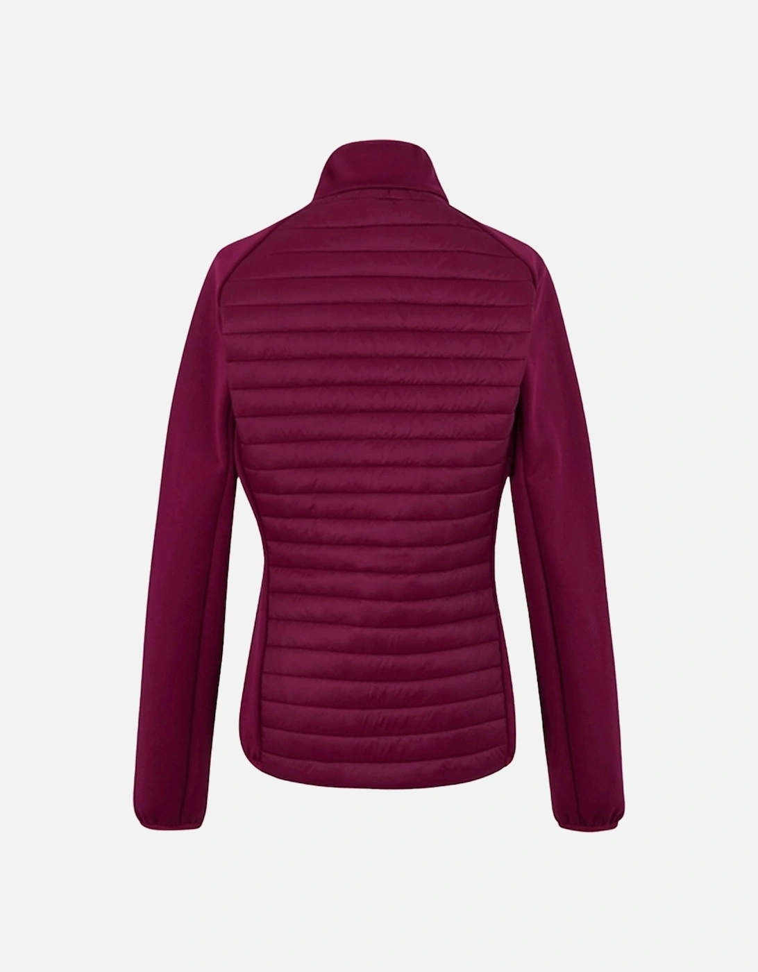 Womens/Ladies Clumber Hybrid Jacket