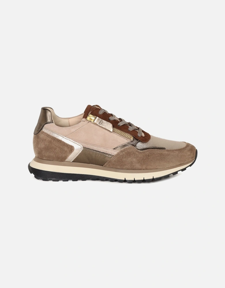 Hollywell Womens Trainers