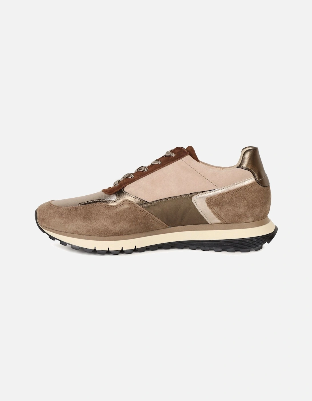 Hollywell Womens Trainers