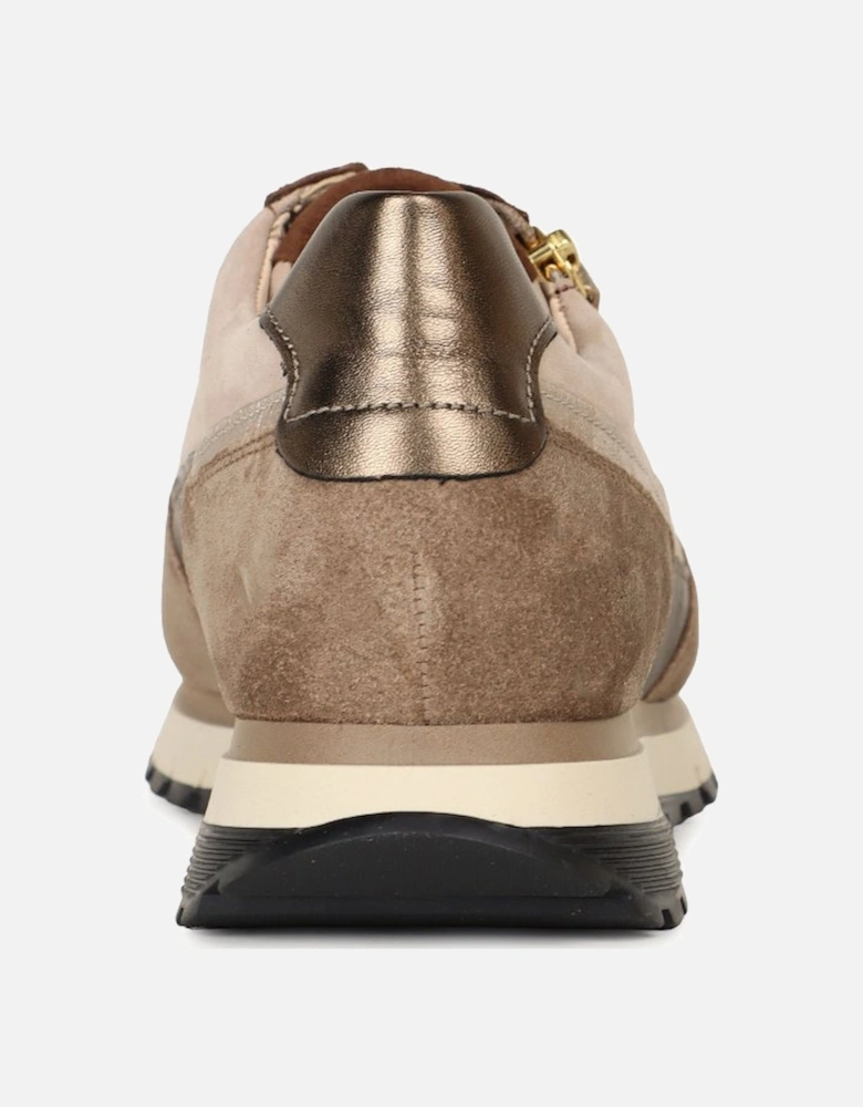Hollywell Womens Trainers