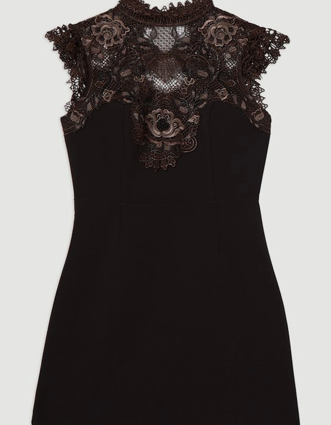 Guipure Lace Woven Mini Dress