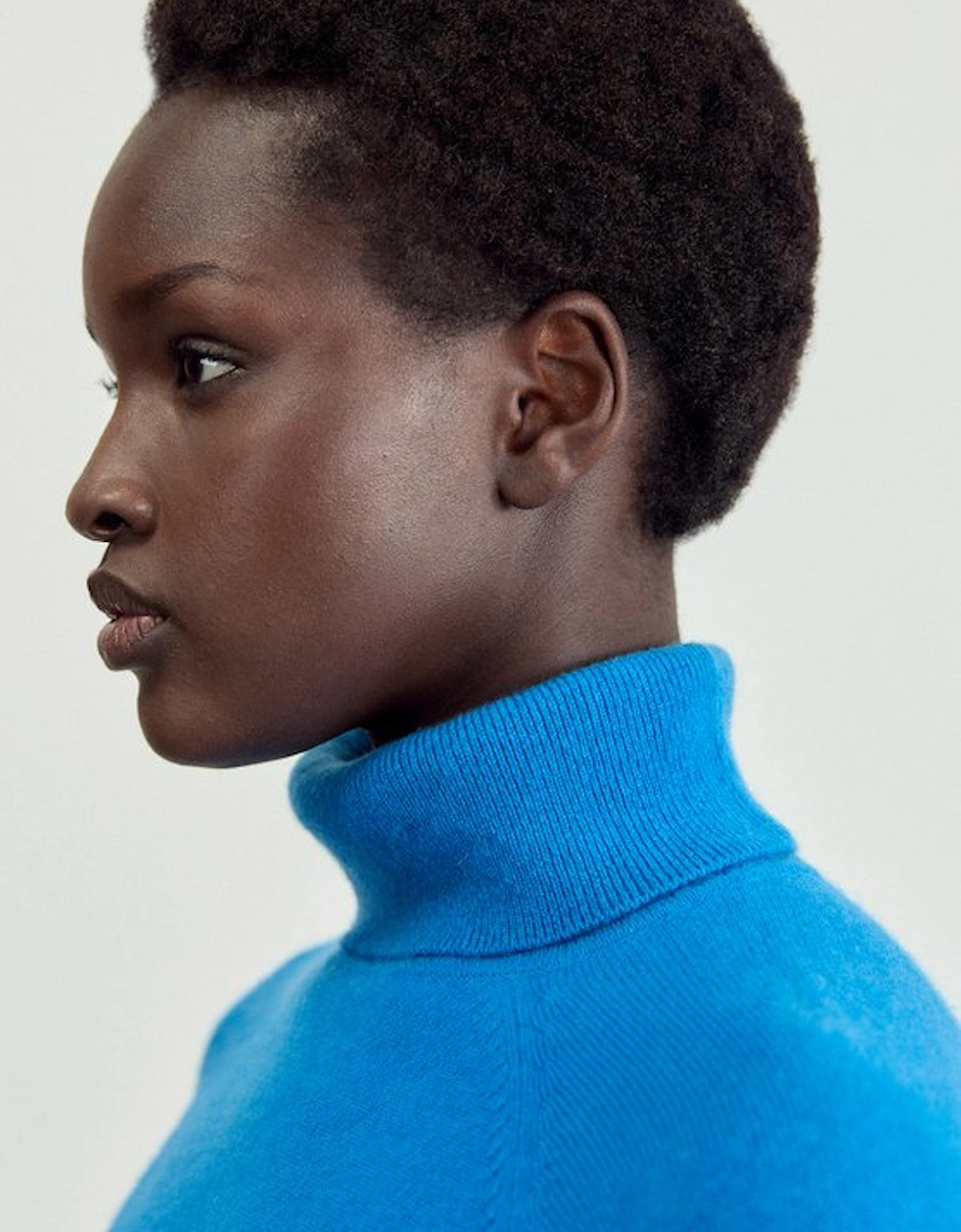 Cashmere Roll Neck Jumper
